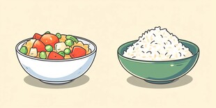 盖浇饭插画