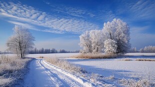 冬日雪景壁纸