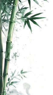 竹个性壁纸