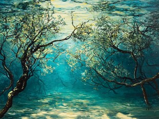 水底树影