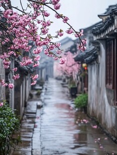 古镇春雨