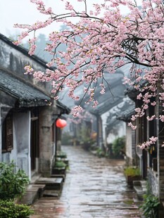 古镇春雨