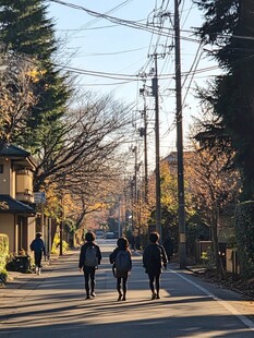 高校大学林荫路