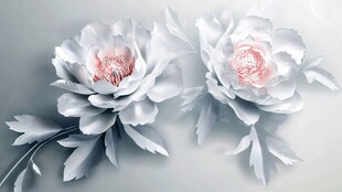3d牡丹花卉