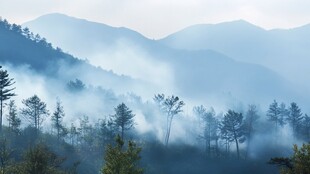 山林晨雾行摄