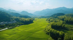 初夏皖南