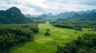 会仙田园风光