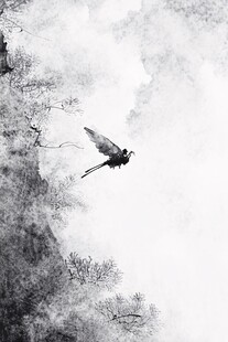 水墨船墨痕飞鸟