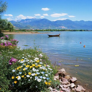 泸沽湖花海