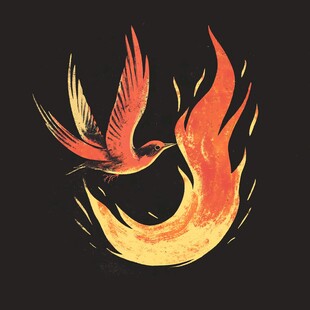 火凤凰插画