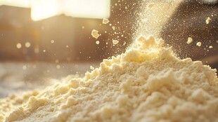 高速旋转的豆粉