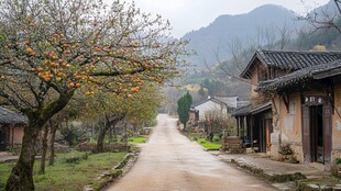 柿林古村