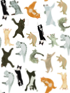 猫