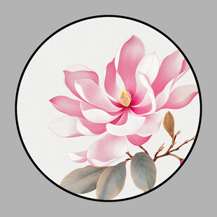 玉兰花