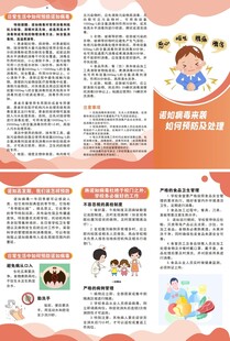 诺如病毒