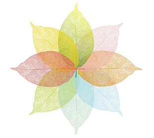 叶脉矢量图