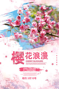 樱花