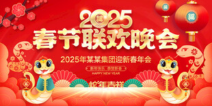 2025年春节晚会