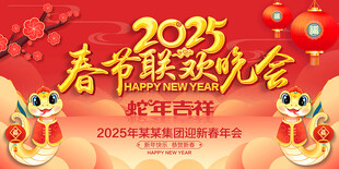 2025年春节晚会