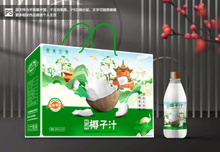 椰子汁包装