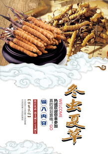 冬虫夏草