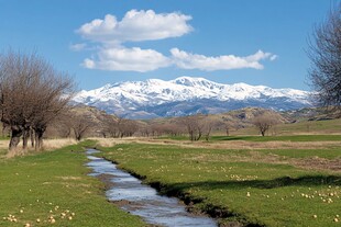 雪山下的溪流牧场