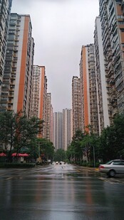 小区雨后