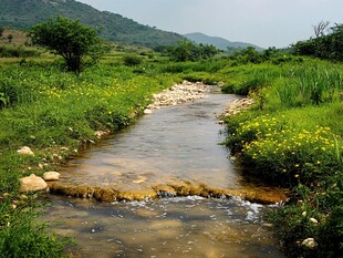 村前流过的小河