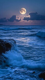 大海大地月光自然