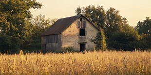 晚霞中草地木屋