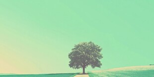 小树意境图