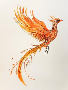 手绘火凤凰