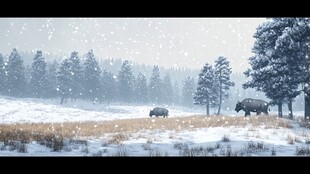 哺乳动物的季节