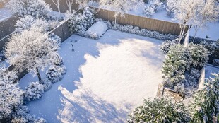 庭院雪景