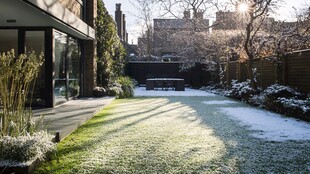 庭院积雪