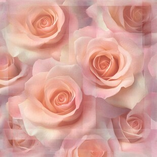 立体背景玫瑰图