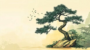 古典古风复古迎客松