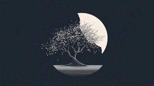 禅境秋夜极简意境插画