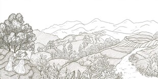 包装插画手绘茶山