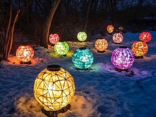 雪中彩灯