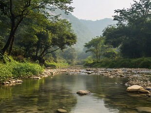 秦岭小河