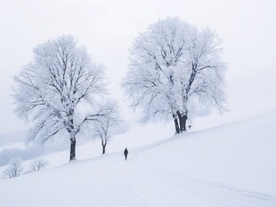 雾凇雪地童话世界