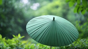 竹海雨伞