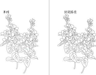 花 矢量图