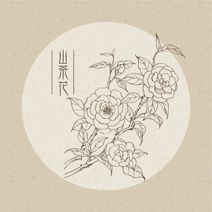 山茶花
