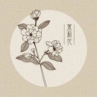 茉莉花 