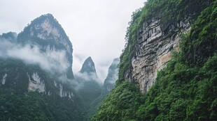 雨后神农山