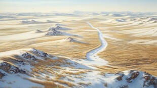 金色雪山