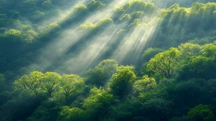 自然风景阳光光线