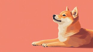 柴犬插画